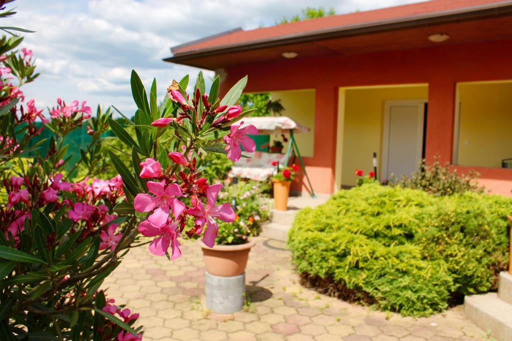 Anna Panzio Bed and Breakfast Egerszalók Exterior foto